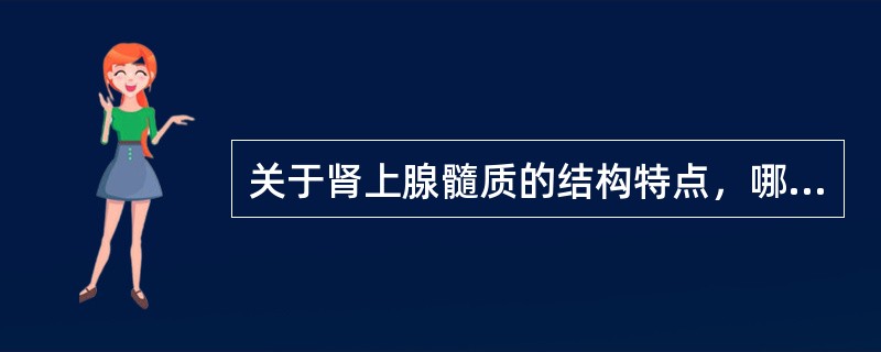 关于肾上腺髓质的结构特点，哪项错误A、分泌肾素B、髓质细胞分泌肾上腺素或去甲肾上