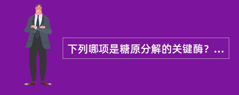 下列哪项是糖原分解的关键酶？( )A、脱枝酶B、磷酸葡萄糖变位酶C、分枝酶D、糖