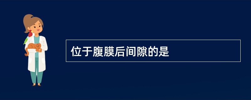 位于腹膜后间隙的是