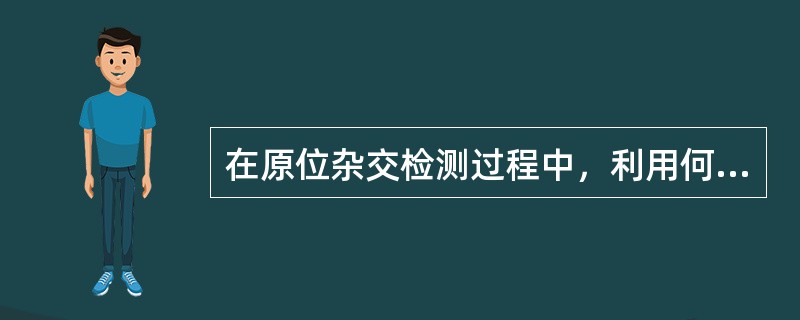 在原位杂交检测过程中，利用何种探针不需热变性处理A、cRNA探针B、cDNA探针