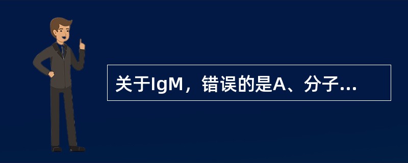 关于IgM，错误的是A、分子量最大B、个体发育最早C、是SmIg的一种D、常以双