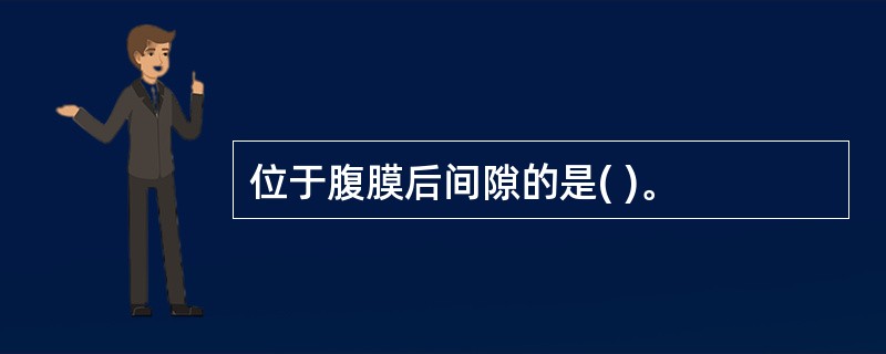 位于腹膜后间隙的是( )。