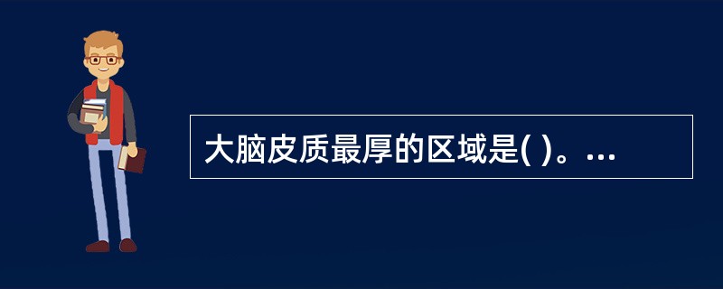 大脑皮质最厚的区域是( )。A、听区B、视区C、中央后回感觉区D、中央前回运动区