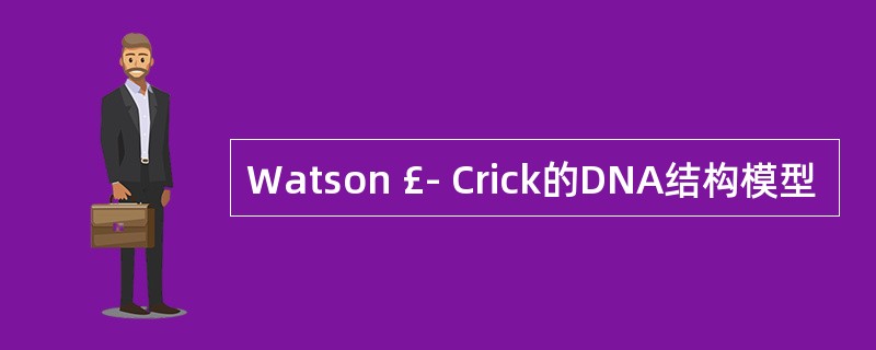 Watson £­ Crick的DNA结构模型