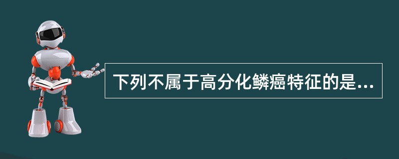 下列不属于高分化鳞癌特征的是A、可发生于支气管上皮B、常发生于有鳞状上皮覆盖的部