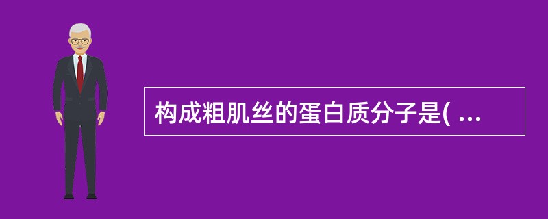 构成粗肌丝的蛋白质分子是( )。A、肌钙蛋白B、肌球蛋白C、原肌球蛋白D、肌动蛋