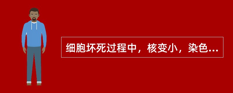 细胞坏死过程中，核变小，染色质浓染标志为A、核内包涵体B、核固缩C、核碎裂D、核