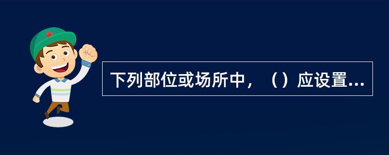 下列部位或场所中，（）应设置指示疏散方向的消防应急标志灯。