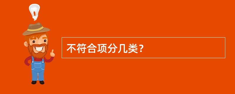 不符合项分几类？