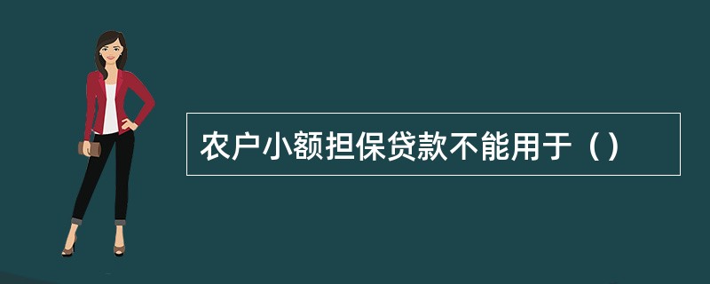 农户小额担保贷款不能用于（）