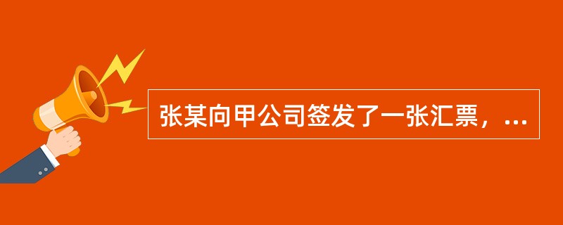 张某向甲公司签发了一张汇票，甲公司将汇票背书转让给乙公司，乙公司向付款行提示承兑