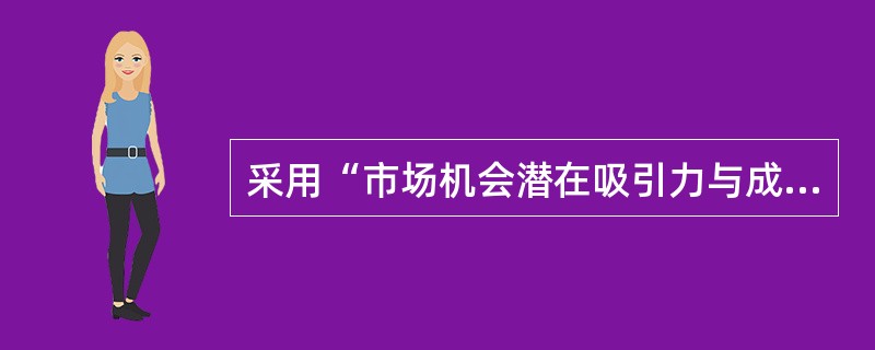 采用“市场机会潜在吸引力与成功概率分析矩阵”进行市场机会的价值分析，成功概率低、