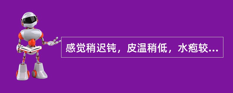 感觉稍迟钝，皮温稍低，水疱较小的是（）。