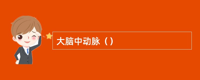 大脑中动脉（）