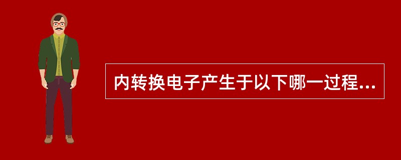 内转换电子产生于以下哪一过程（）