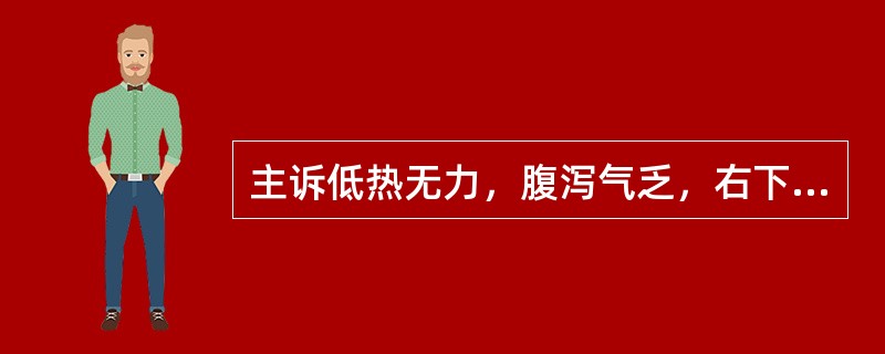 主诉低热无力，腹泻气乏，右下腹部似有包块。X线钡餐检查：盲肠短缩，粘膜紊乱，间有