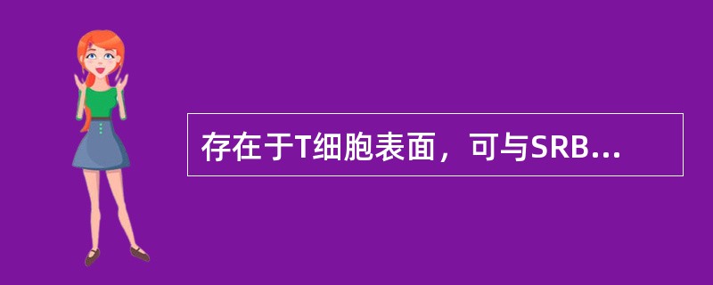 存在于T细胞表面，可与SRBC结合的CD为（）