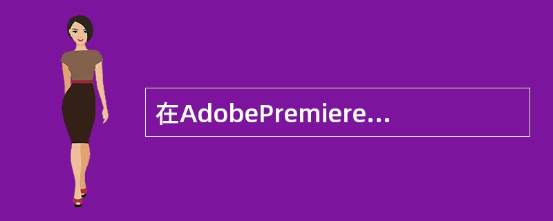 在AdobePremiere中通过项目窗口导入素材到节目中时，显示文件的详细信息