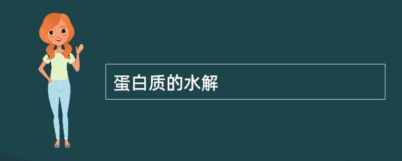 蛋白质的水解