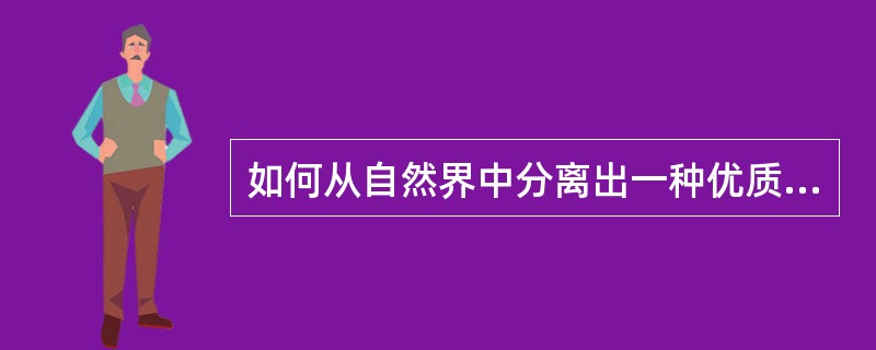 如何从自然界中分离出一种优质酵母菌？