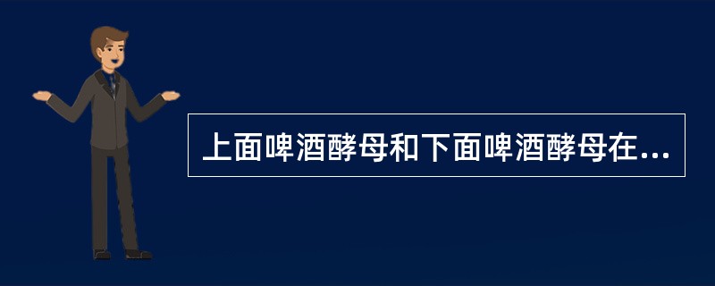 上面啤酒酵母和下面啤酒酵母在发酵液中出现物理特性差异的原因？