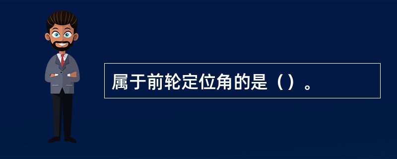 属于前轮定位角的是（）。