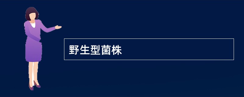 野生型菌株