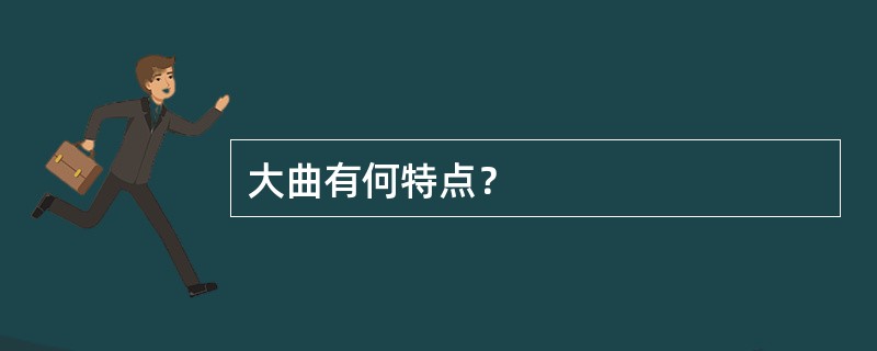 大曲有何特点？