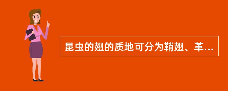 昆虫的翅的质地可分为鞘翅、革翅、半鞘翅和（）。