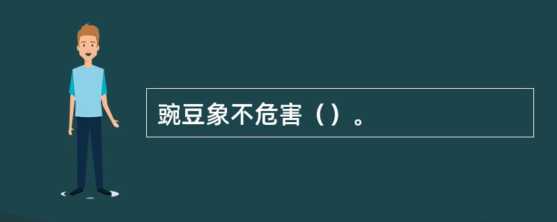 豌豆象不危害（）。