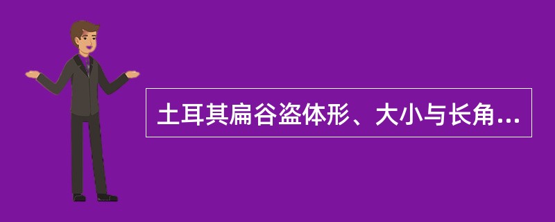 土耳其扁谷盗体形、大小与长角扁谷盗相似，主要区别是：土耳其扁谷盗身体（）色，雄虫