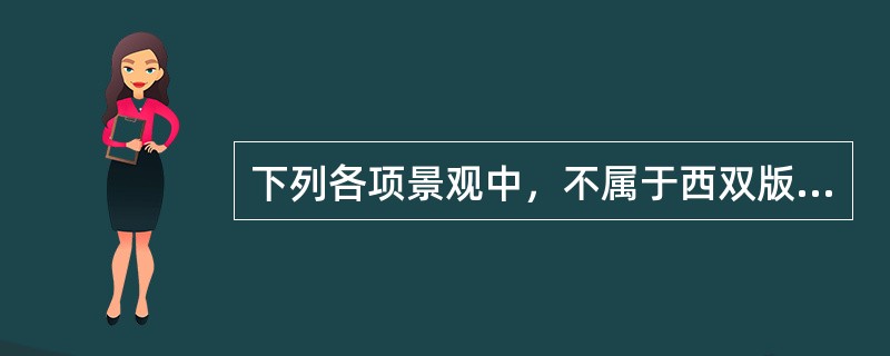 下列各项景观中，不属于西双版纳热带雨林景观的是（）