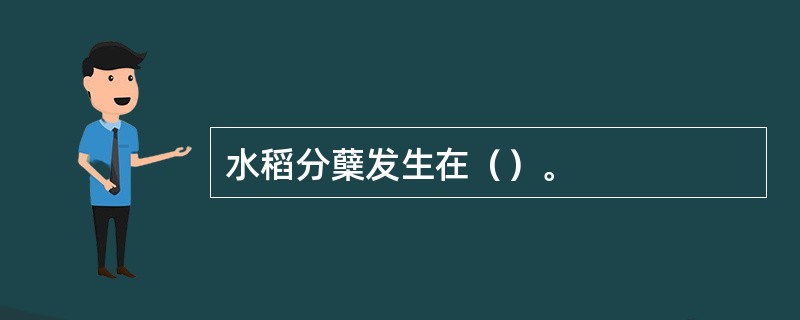 水稻分蘖发生在（）。