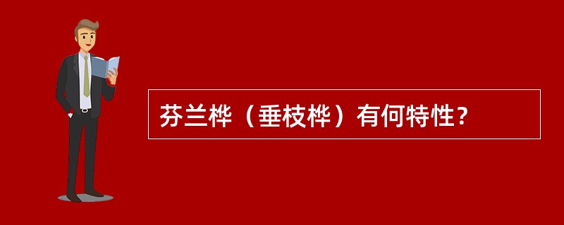 芬兰桦（垂枝桦）有何特性？