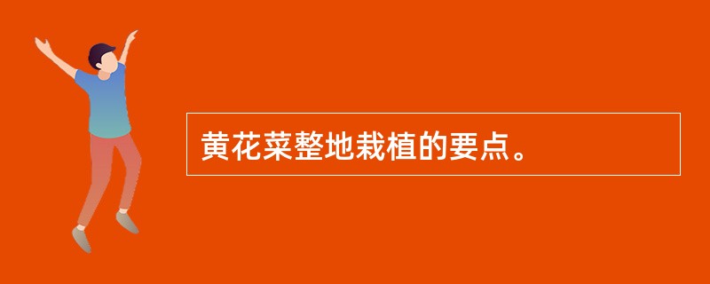 黄花菜整地栽植的要点。
