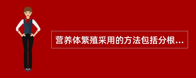 营养体繁殖采用的方法包括分根、（）、（）和（）等。