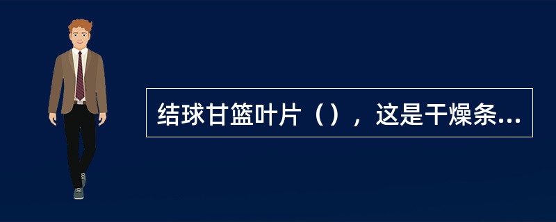 结球甘篮叶片（），这是干燥条件下所形成的一种适应症。