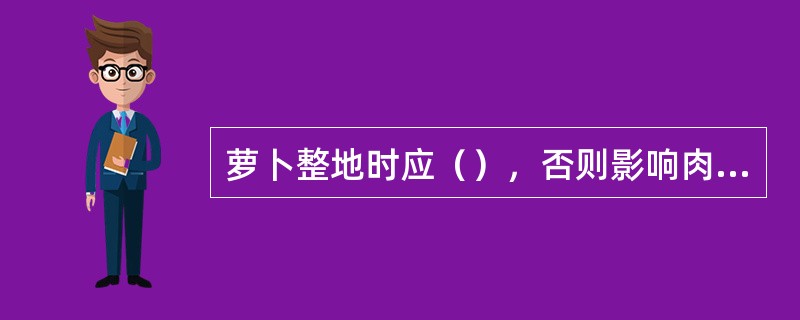 萝卜整地时应（），否则影响肉质根膨大。