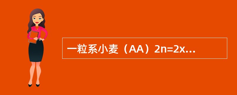 一粒系小麦（AA）2n=2x=14是二倍体，普通小麦（AABBCC）2n=6x=