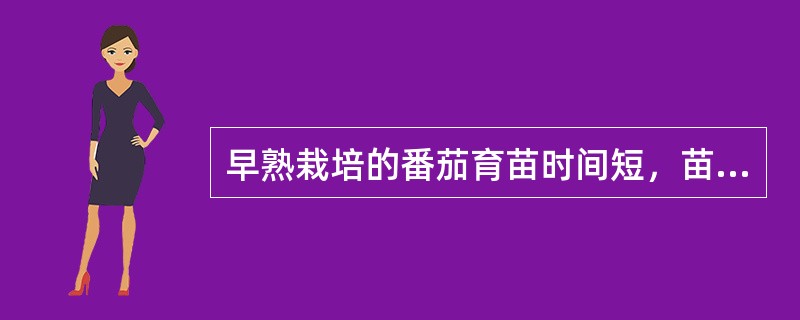 早熟栽培的番茄育苗时间短，苗期不用分苗。