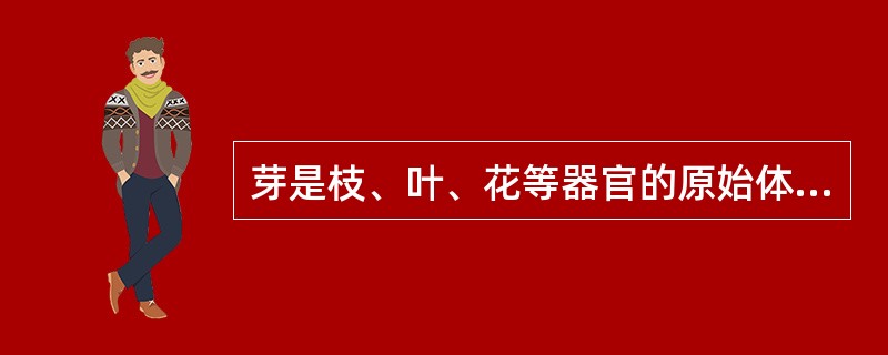 芽是枝、叶、花等器官的原始体，它与种子有相似的特点。