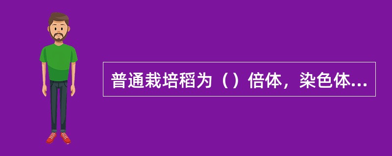 普通栽培稻为（）倍体，染色体组为（）组，体细胞染色体数为（）。