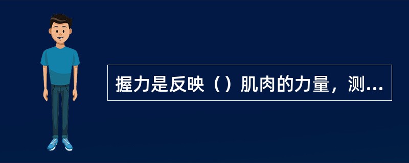 握力是反映（）肌肉的力量，测试其肌肉静力的耐力状况.