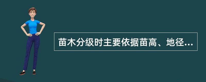 苗木分级时主要依据苗高、地径和根系。