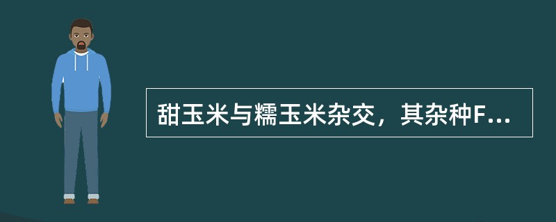 甜玉米与糯玉米杂交，其杂种F1代表为：（）。