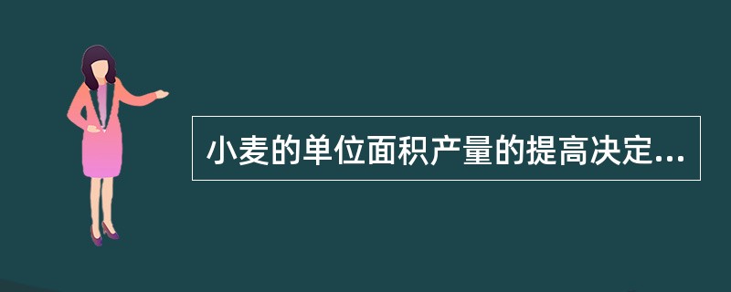 小麦的单位面积产量的提高决定于其构成因素（）、（）和（）的协调发展。