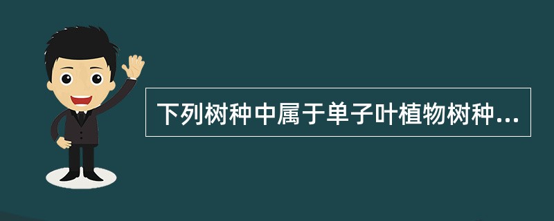 下列树种中属于单子叶植物树种的是（）