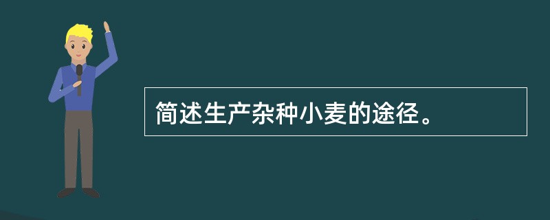 简述生产杂种小麦的途径。