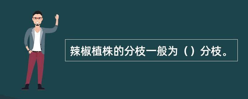 辣椒植株的分枝一般为（）分枝。
