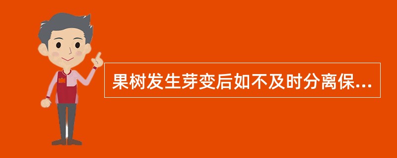 果树发生芽变后如不及时分离保存，已经发生的芽变性状在母树上会丢失。